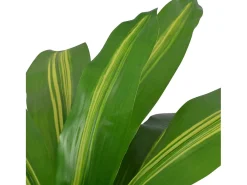 Planta de drácena artificial con maceta 90 cm ES829427 Verde