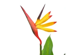 Planta strelitzia reginae ave del paraíso artificial 66 cm ES461847 Multicolor Online