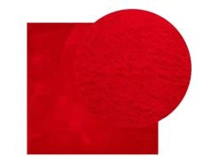 Garden Furniture Alfombra De Salón-Prolenta Premium - Alfombra de pelo corto suave lavable HUARTE 240x240 cm Rojo