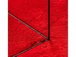 Garden Furniture Alfombra De Salón-Prolenta Premium - Alfombra de pelo corto suave lavable HUARTE 240x240 cm Rojo
