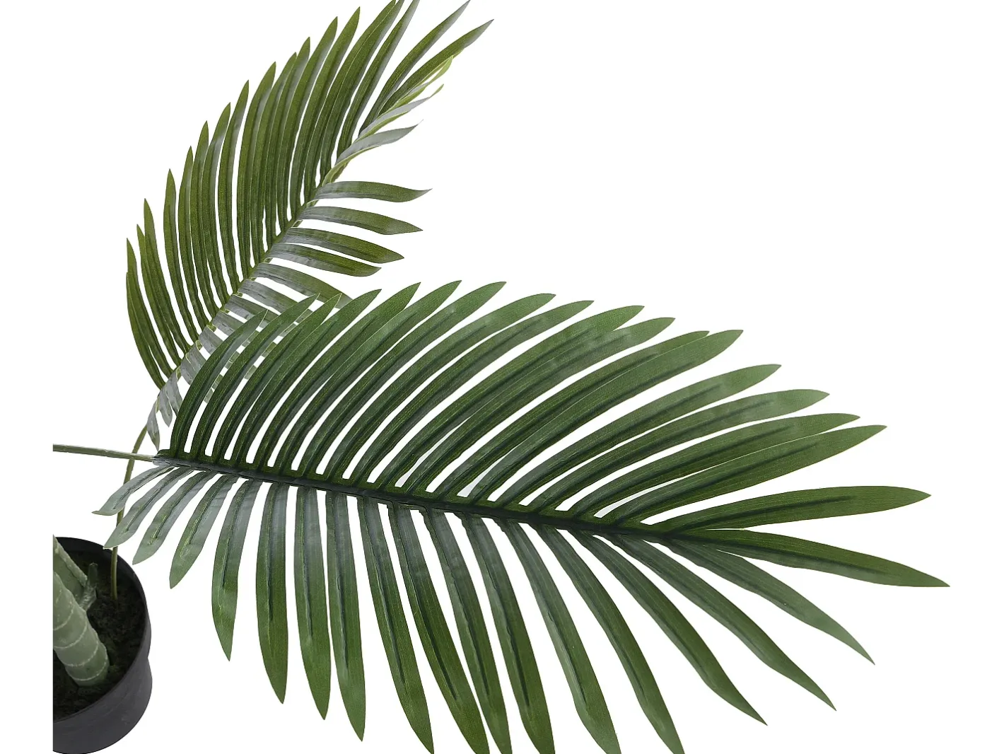 OZAIA Planta Artificial-Árbol, planta, arbusto artificial palmera - Alt. 190 x Ancho 80 cm - - COCONUT Verde