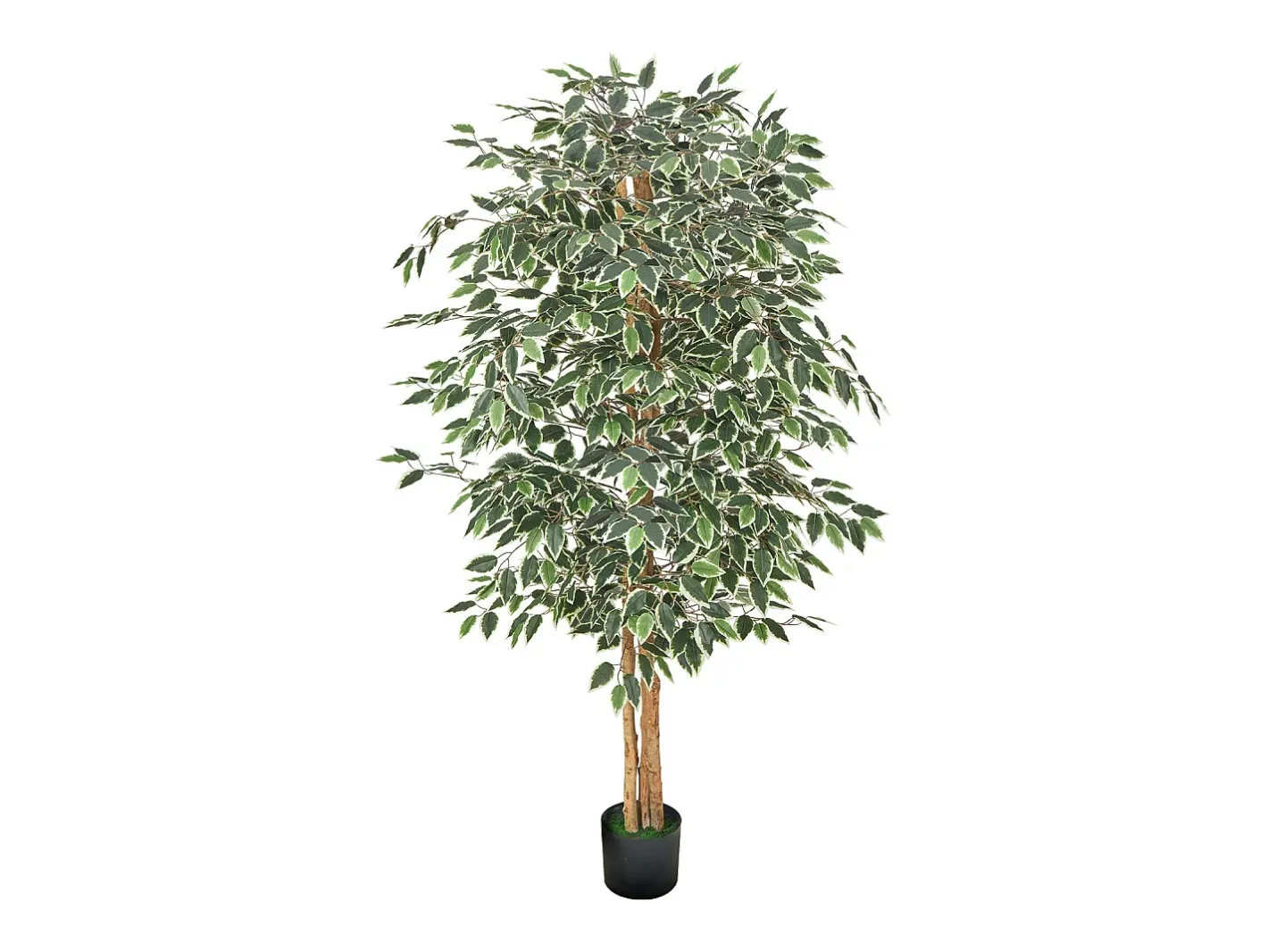 Árboles Artificiales SucceBuy Ficus Artificial de 180 cm con Maceta Negra, Planta Artificial Grande con Tronco de Madera Natural y Follaje Realista Verde New