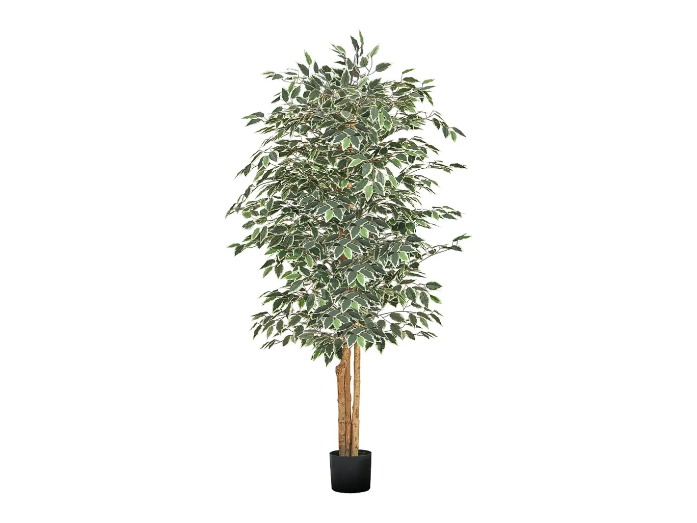 Árboles Artificiales SucceBuy Ficus Artificial de 180 cm con Maceta Negra, Planta Artificial Grande con Tronco de Madera Natural y Follaje Realista Verde New