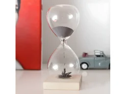 Kikkerland Reloj de arena magnético de 1 minuto Transparente
