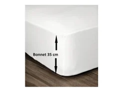 Best Sábana Bajera 100% Algodón 160 x 200 cm - Capó 35 cm - Blanco