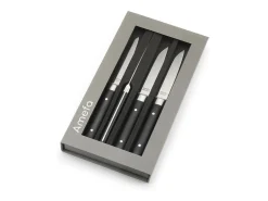 Amefa Cubierto-Set de 4 cuchillos para carne Fusion Noir - Hoja lisa y mango de ABS - 22 cm Negro