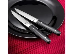 Amefa Cubierto-Set de 4 cuchillos para carne Fusion Noir - Hoja lisa y mango de ABS - 22 cm Negro