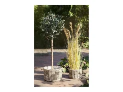 Les Tendances Set van 2 KALAK rieten manden – Binnen / Buiten Beige New