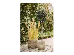 Les Tendances Macetero-Set van 2 MORO plantenbakken – Natuurlijk kubu rotan Beige