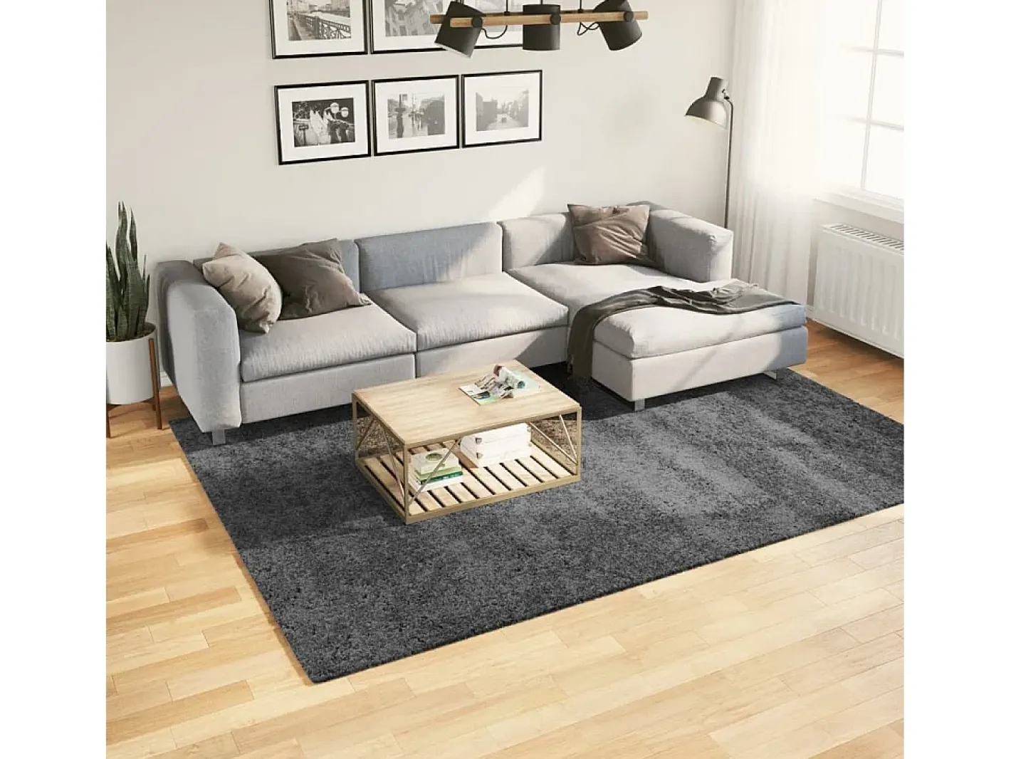 Garden Furniture Sinto Alfombra de pelo corto OVIEDO 200x280 cm Gris antracita Discount