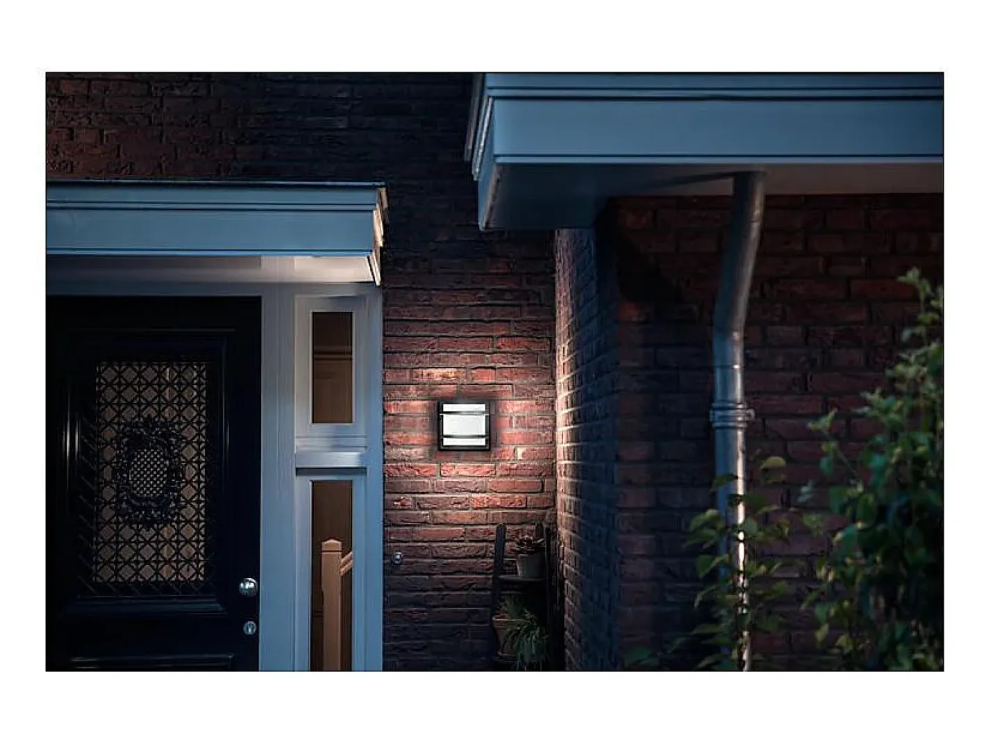 Ledkia Iluminación Exterior-TechBrey Aplique de Pared LED 12W PHILIPS Petronia Transparente